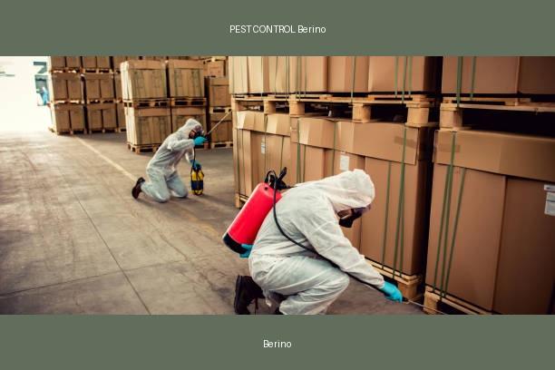 PEST CONTROL Berino